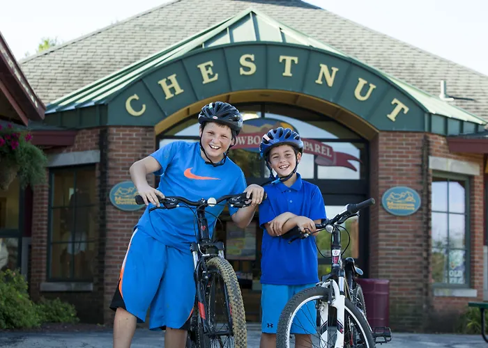 Chestnut Mountain Galena