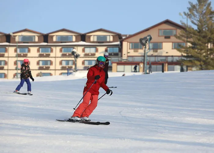 Resort Chestnut Mountain Galena