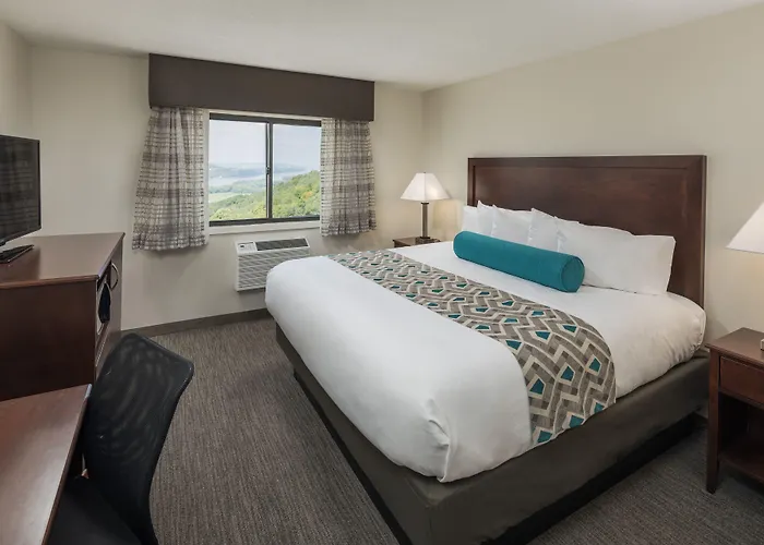 Resort Chestnut Mountain Galena