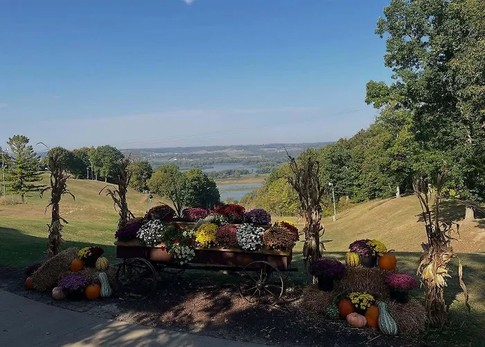 Chestnut Mountain Galena