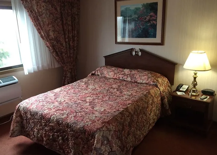 Chestnut Mountain Resort 3*