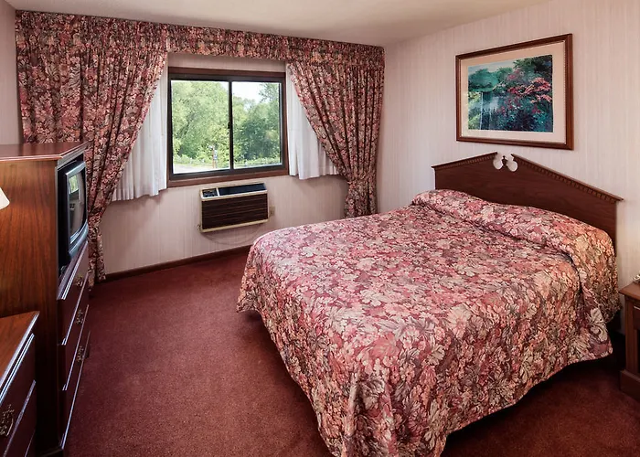 Resort Chestnut Mountain Galena